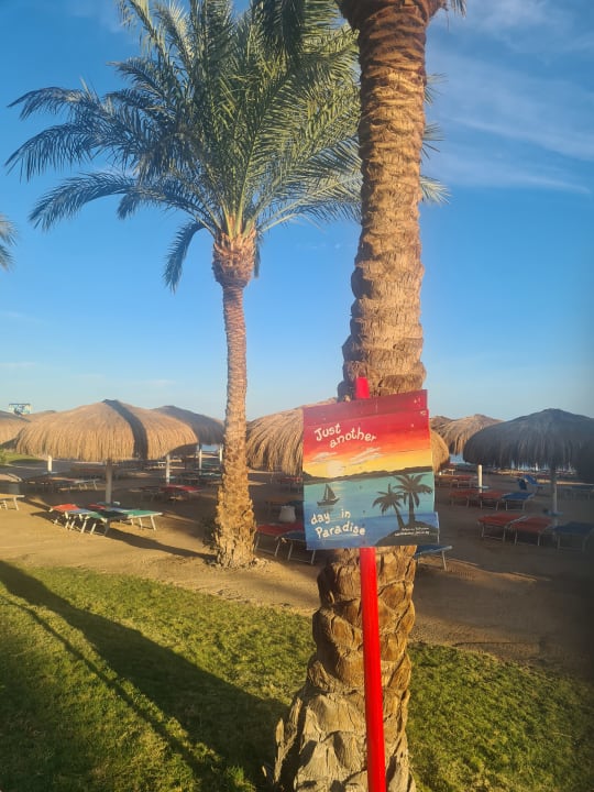 Strand Sentido Caribbean World Soma Bay