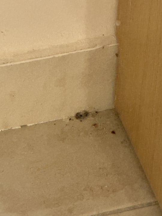 Zimmer Aegean Sea View Bsv