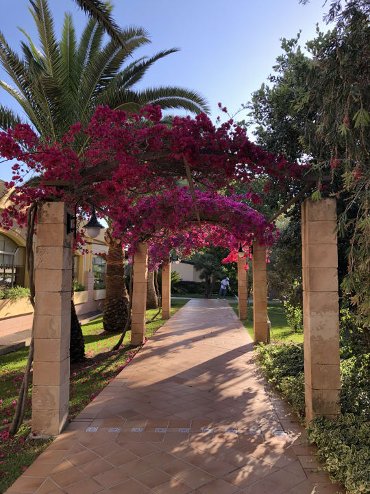 Gartenanlage Zafiro Mallorca