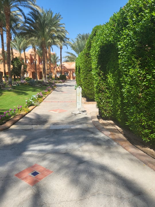 Außenansicht Jaz Makadi Oasis Resort