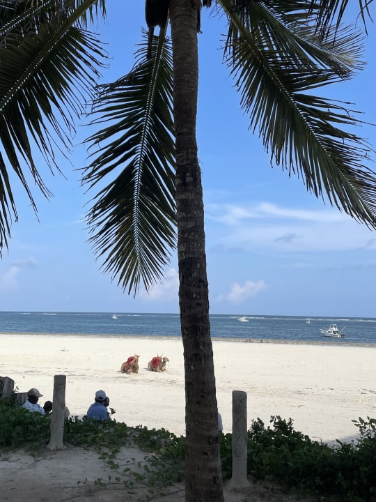 Strand Baobab Beach Resort & Spa