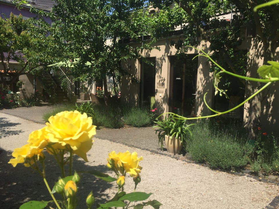 Gartenanlage Jugendstil-Hof Guesthouse