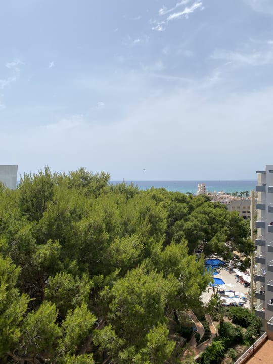 Ausblick Pabisa Sofia