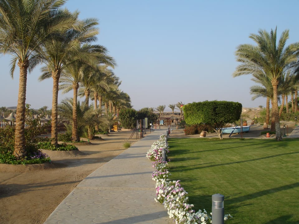 Weg zum Strand Steigenberger Coraya Beach - Adults only