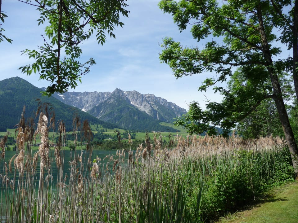 Ausblick Hotel Bellevue am See
