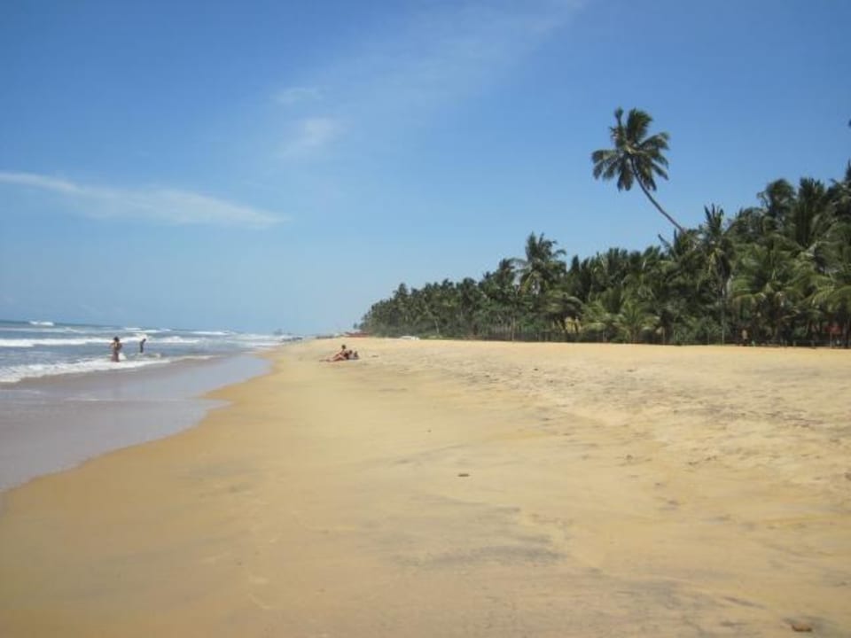 Rechte Strand direkt vor dem Hotel Mermaid Hotel & Club