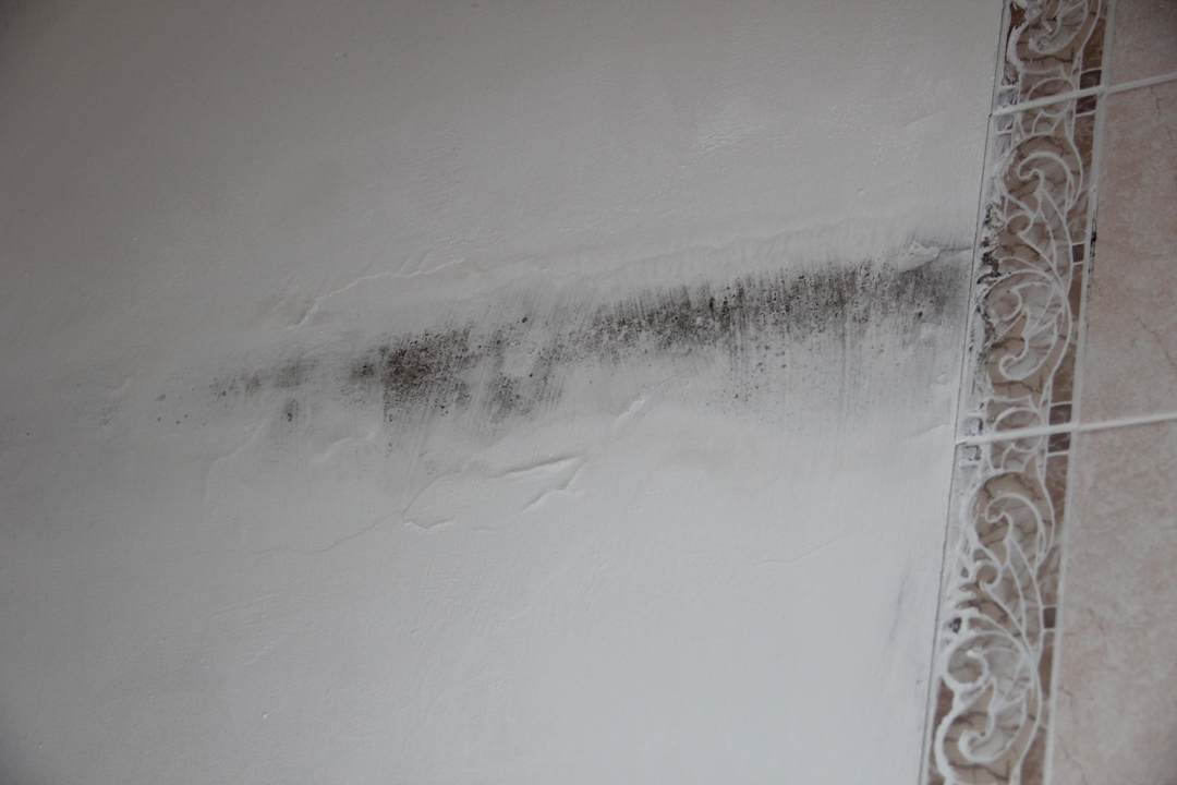 Schimmel im Bad Hotel Quisisana