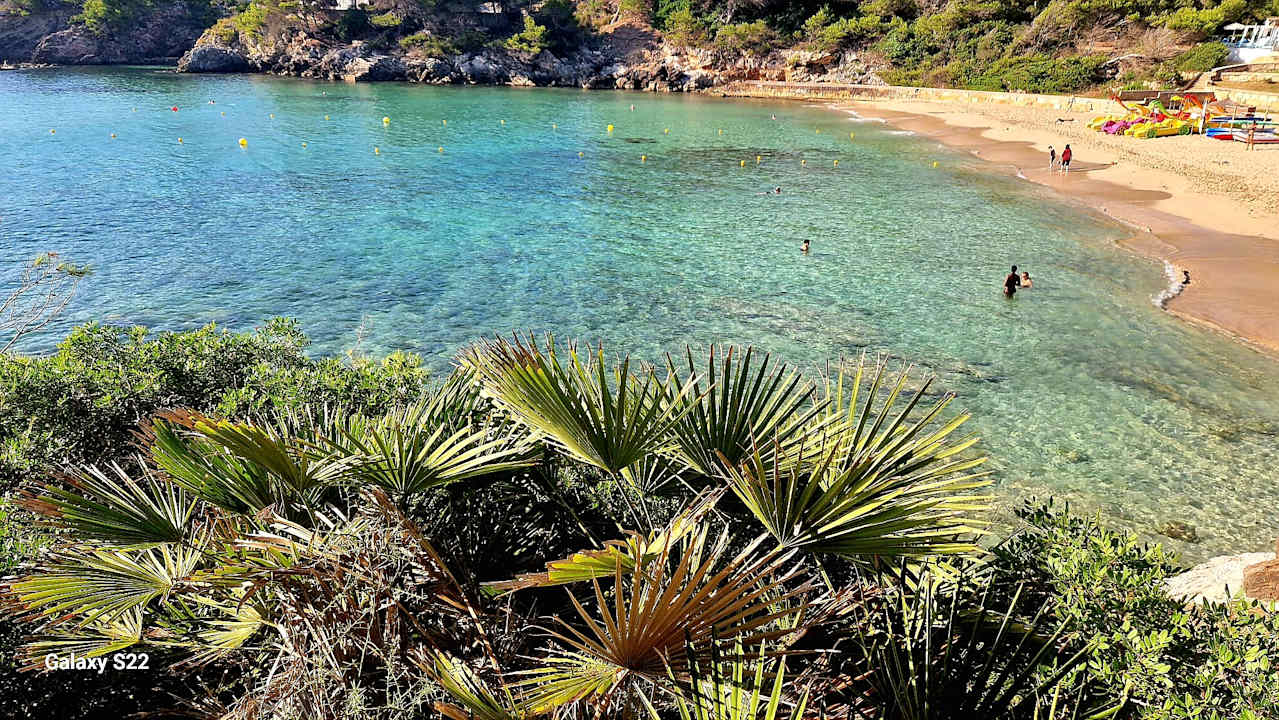 Strand Iberostar Waves Pinos Park