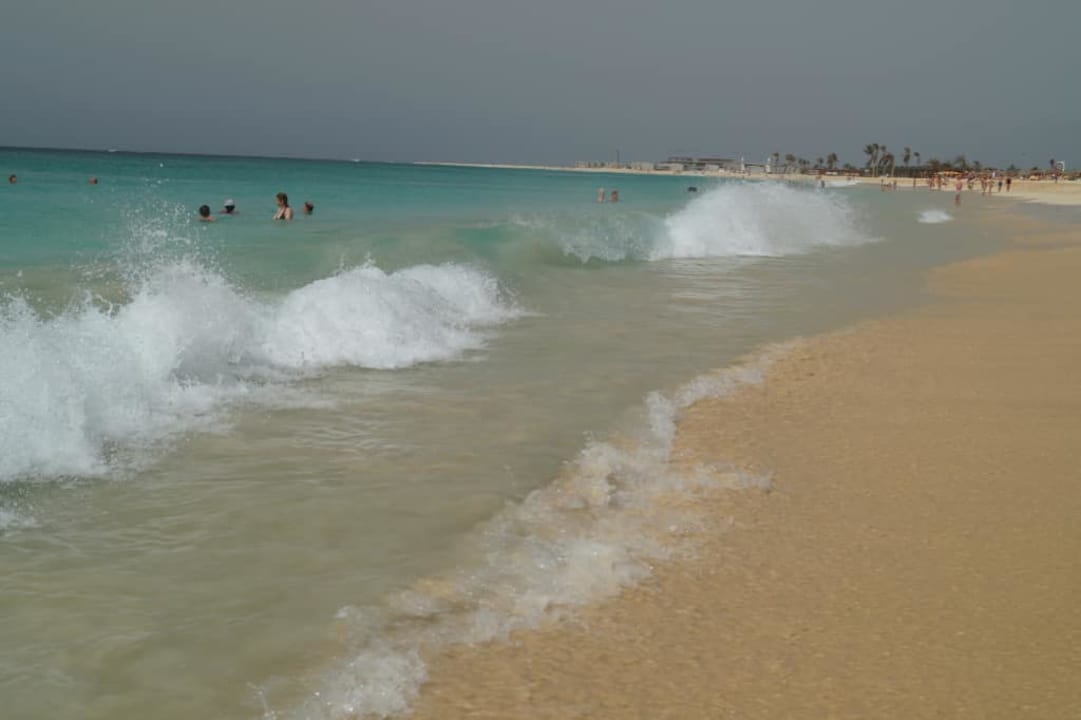 Czasami trzeba uważać Oasis Salinas Sea