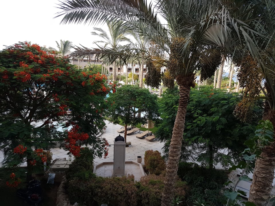 Gartenanlage Makadi Spa - Adults only