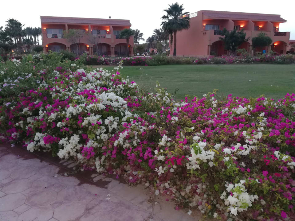 Gartenanlage Jaz Grand Marsa