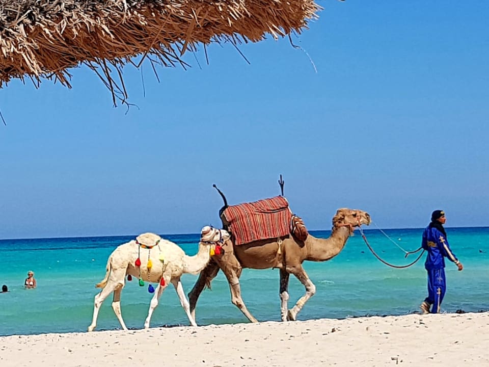 Strand Vincci Helios Beach