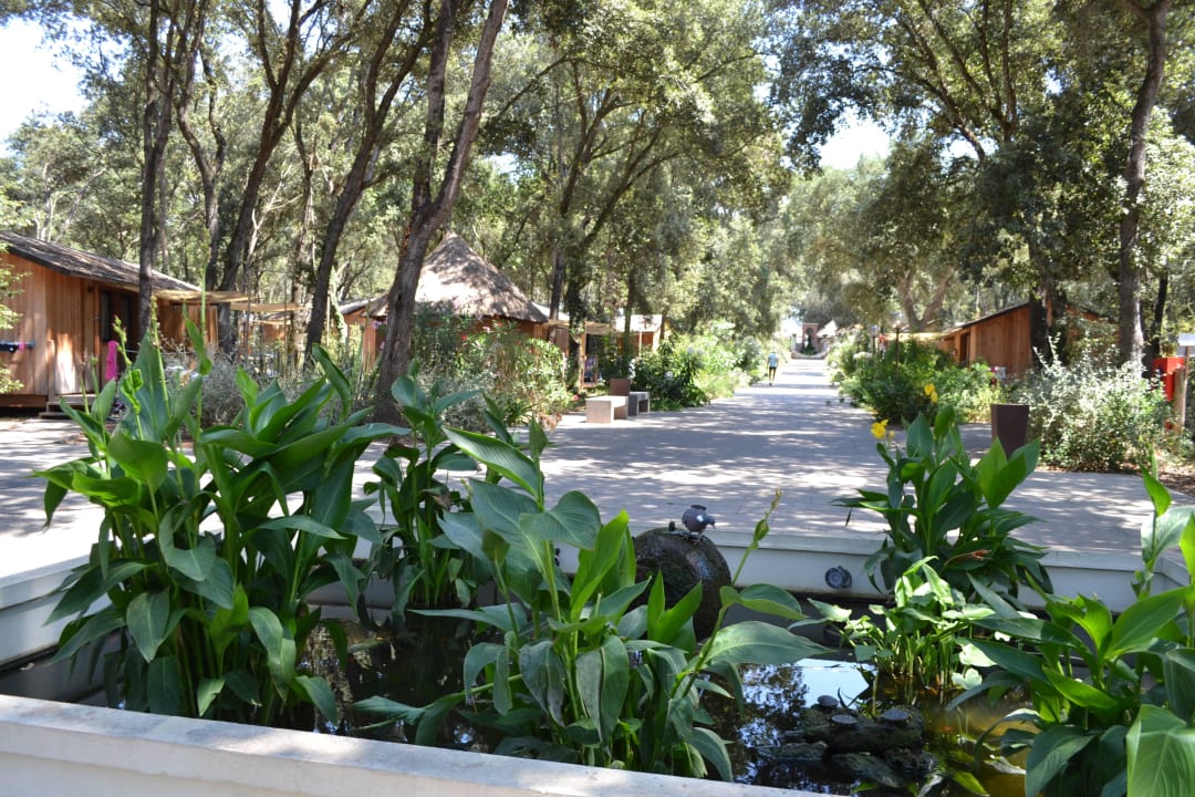 Bungalow and small pond with fishes Paradù Tuscany EcoResort