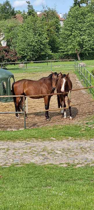 Sonstiges Pałac i Folwark Galiny