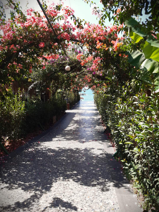 Gartenanlage Rubi Platinum Sign