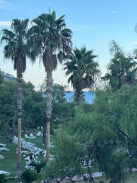 Gartenanlage TUI MAGIC LIFE Beldibi +16