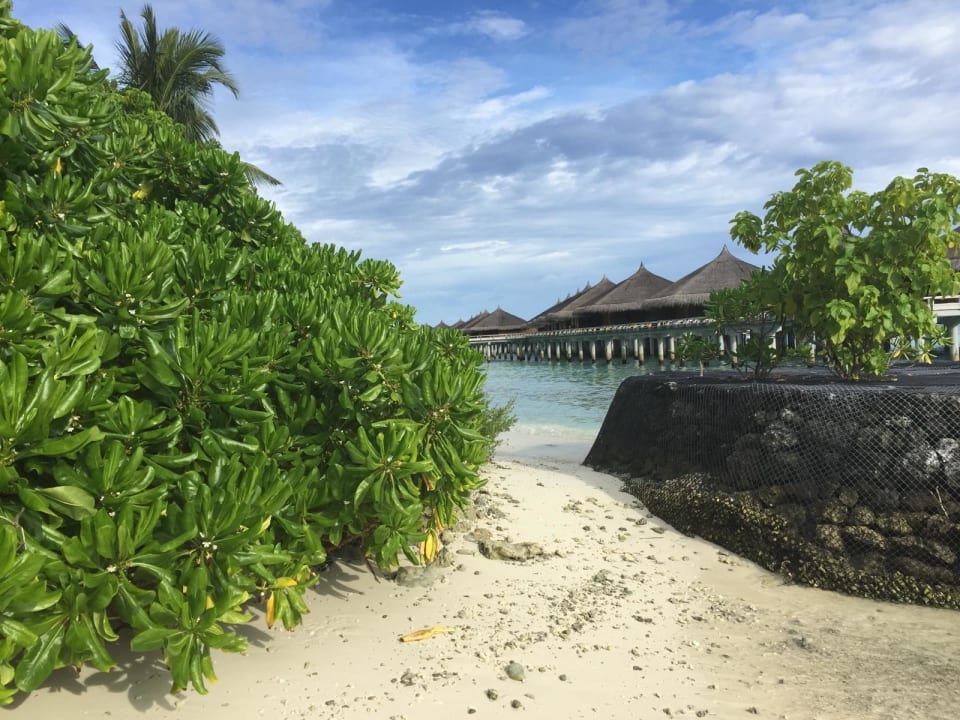 Wasserbungalow  Kuramathi Maldives