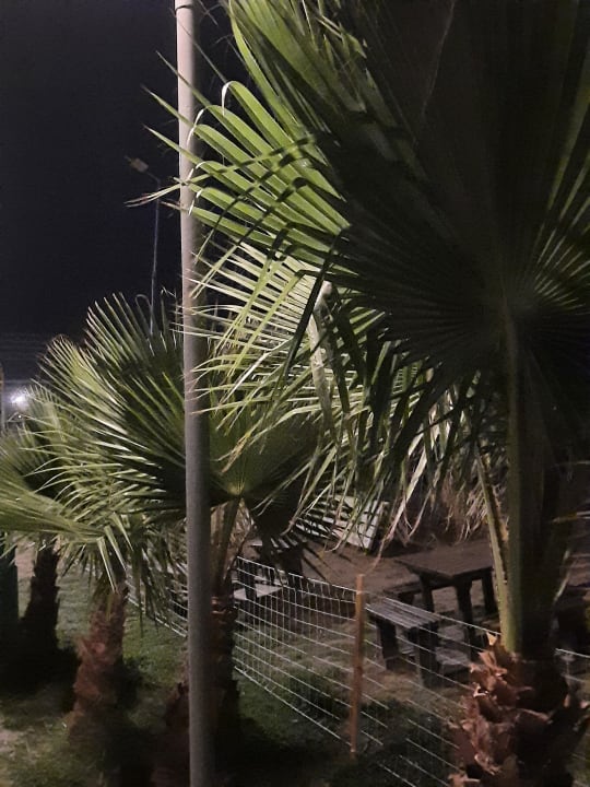 Gartenanlage Belek Beach Resort Hotel