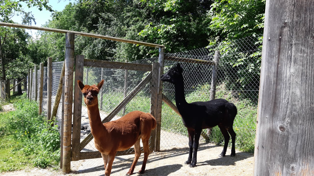 Sonstiges Haus Sonnenschein