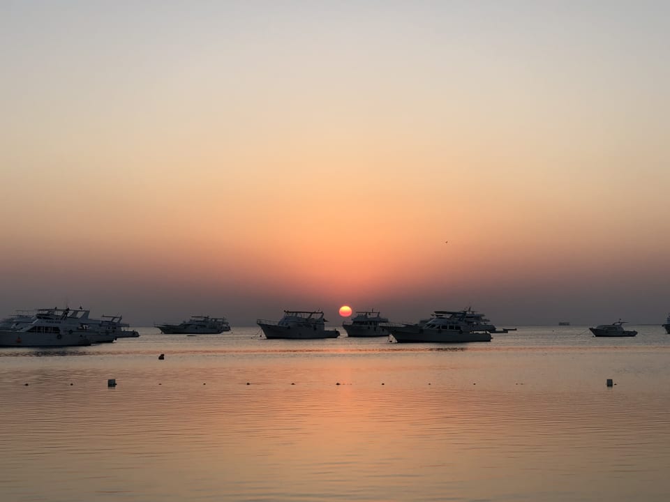 Ausblick The Grand Palace - Adults only