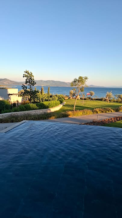 Zimmer Anda Barut Collection