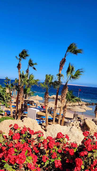 Strand Pickalbatros Citadel Resort