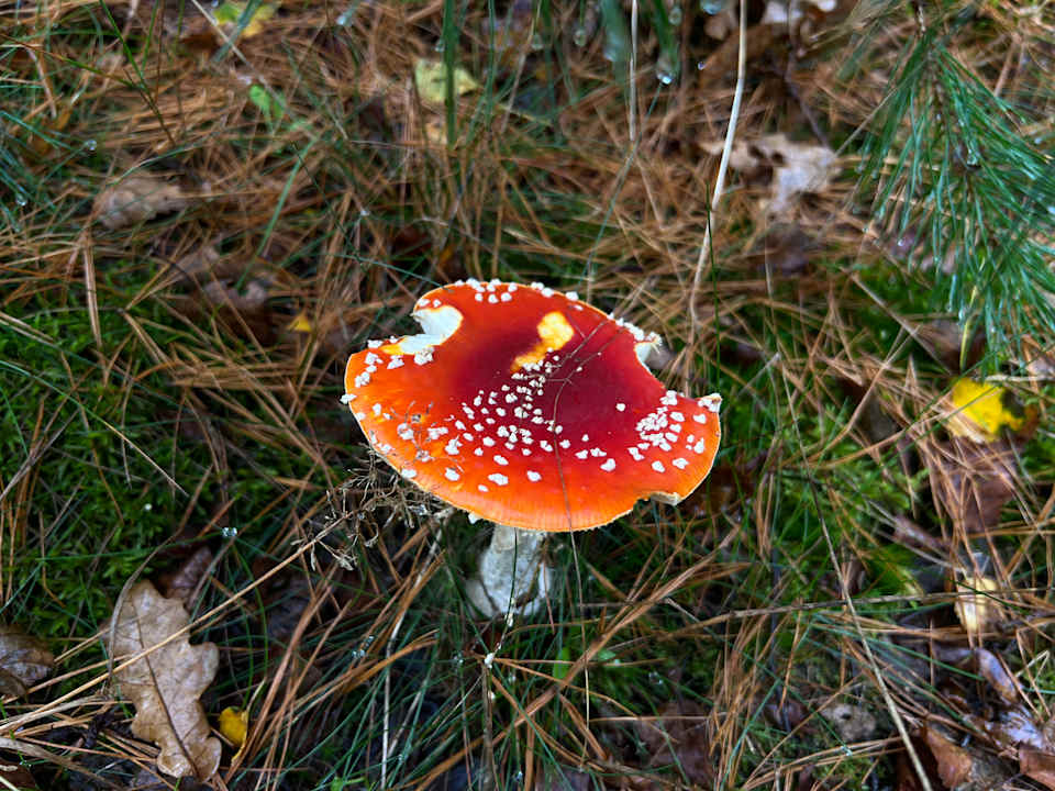 Sonstiges Roompot Park De Peel