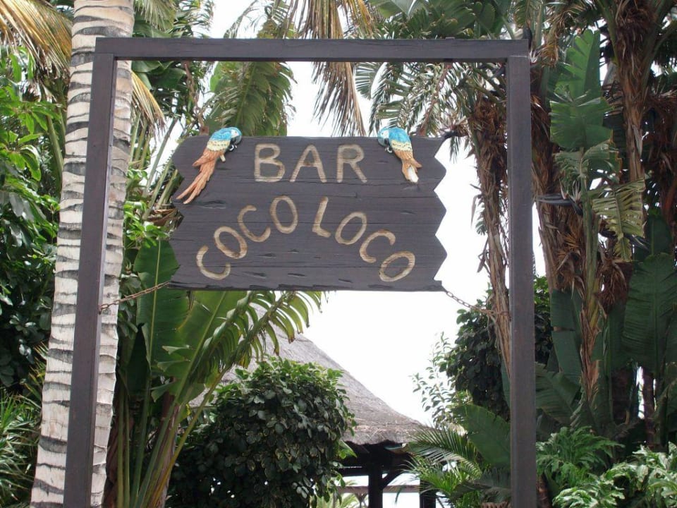 COCO LOCO Club Jandia Princess