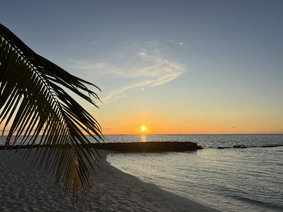 Strand Summer Island Maldives