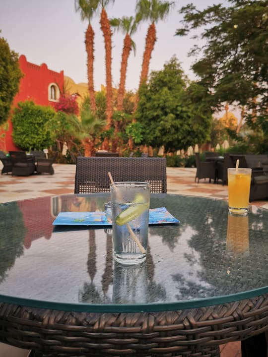 Gastro Makadi Palace