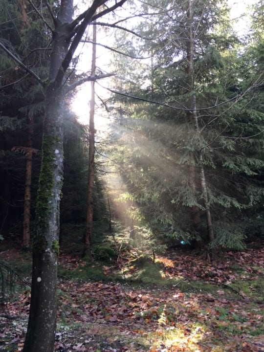 Ausblick Aldiana Club Ampflwang