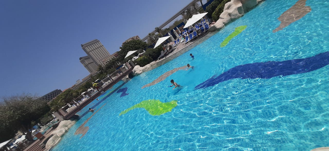 Pool Grand Hyatt Dubai