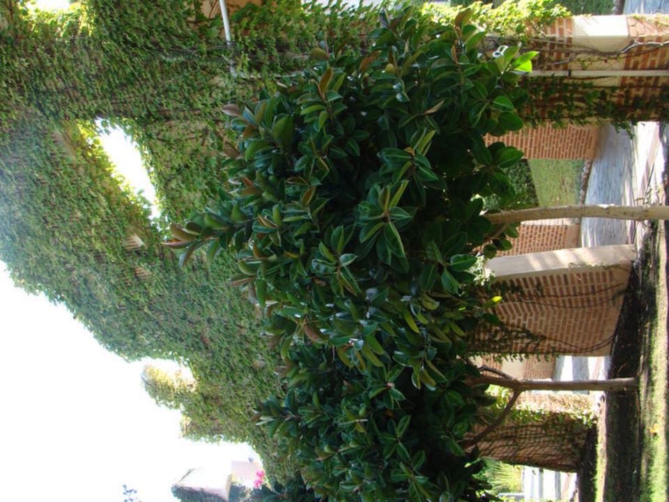 Сад Limak Limra Hotel & Resort