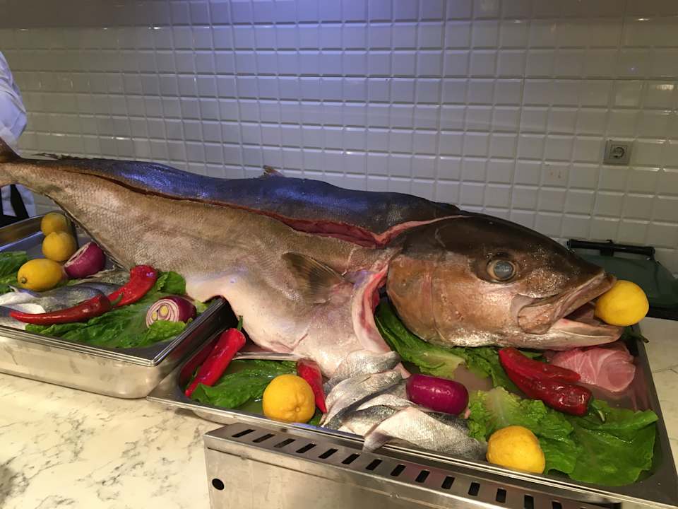 Gastro Acanthus Cennet Barut Collection