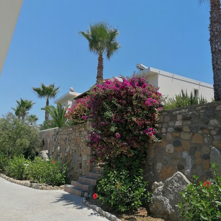 Gartenanlage Hotel Kouros Palace