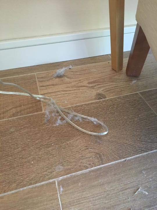 Zimmer PortAventura® Hotel Roulette