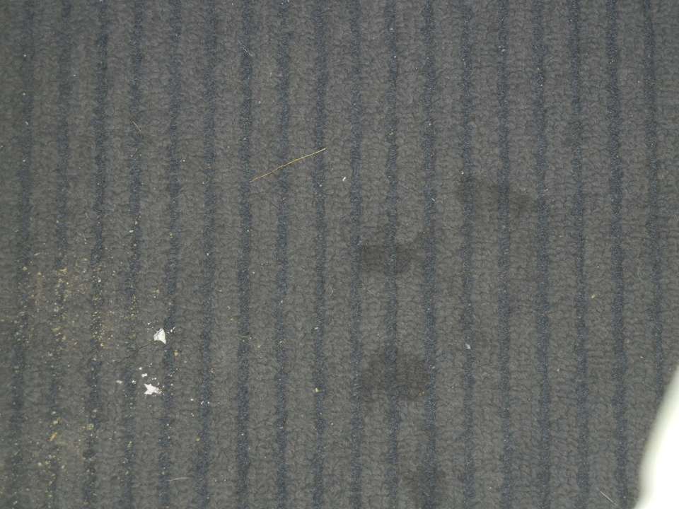 Fleckig verschmutzter Teppichboden im Lift  JC Kevin Sathorn Bangkok Hotel