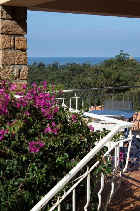 Terrasse panoramique Hotel Capo d'Orto