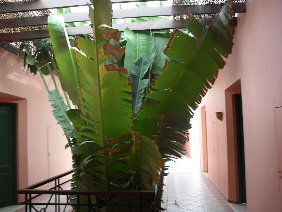 Lobby JAZ Fanara Resort