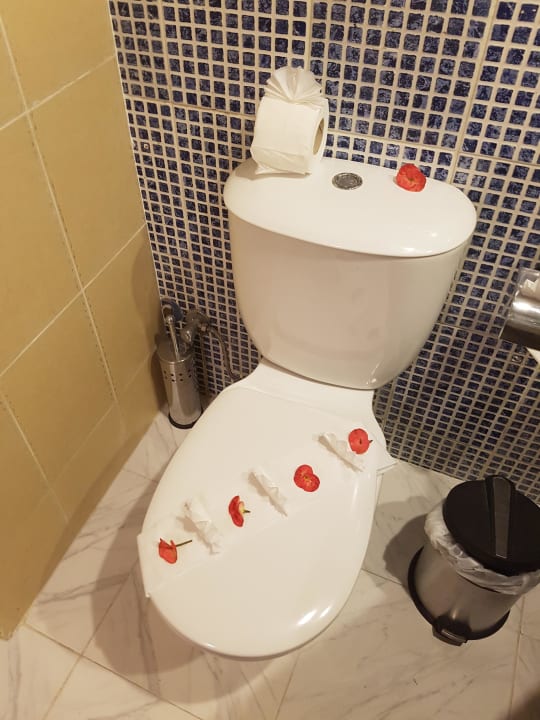 Bad  Beach Albatros Resort