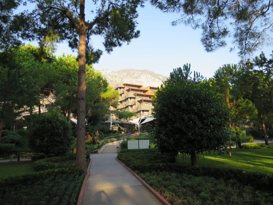 Garten zum Haupthaus Balmy Foresta