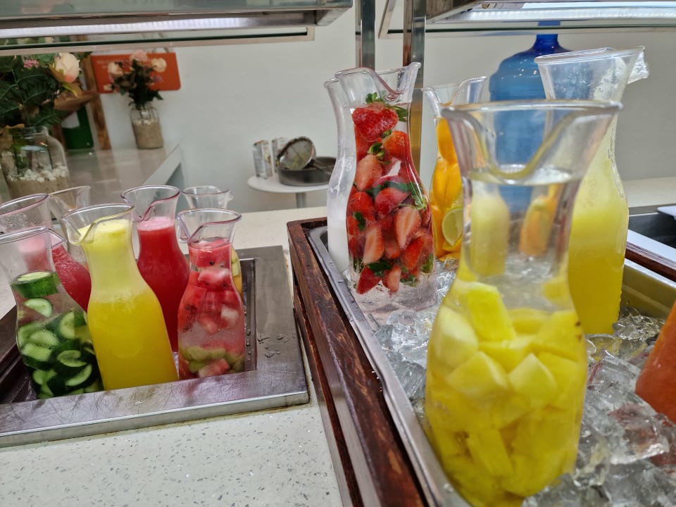 Gastro Hotel Viva Dominicus Palace by Wyndham-All Inclusive Resort