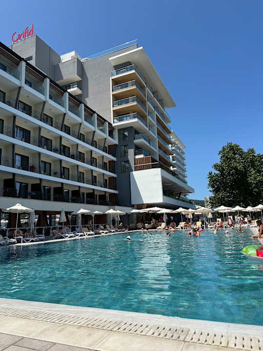 Pool GRIFID Vistamar