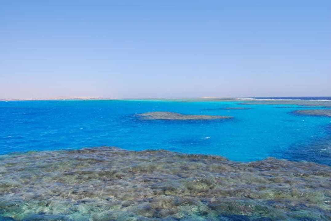 Świetne miejsce do nurkowania Iberotel Makadi Beach