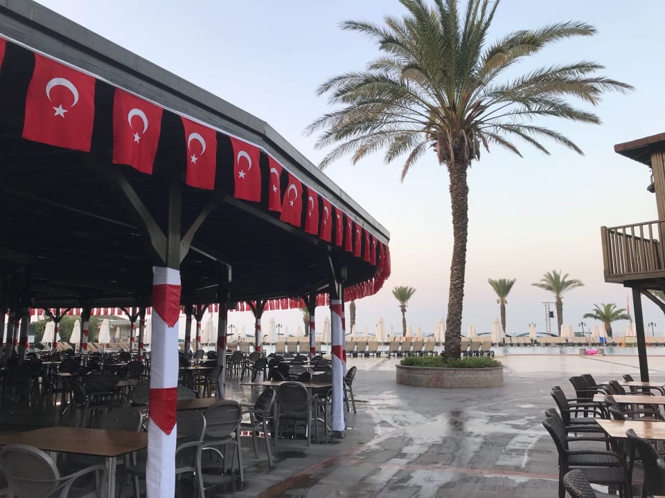 Pool Papillon Belvil