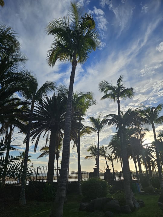 Gartenanlage Hipotels La Geria