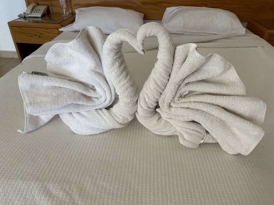 Zimmer Menaville Safaga