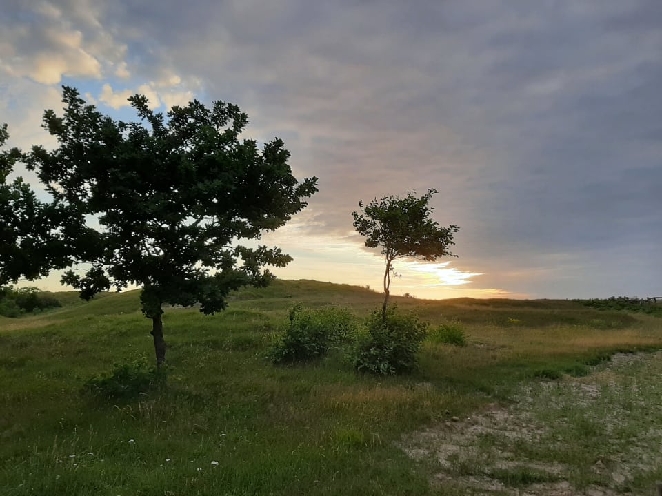 Gartenanlage Ferienwohnungen Ferienpark Weissenhäuser Strand