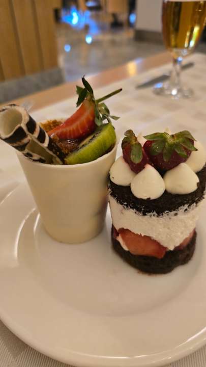 Gastro Seashell Vega