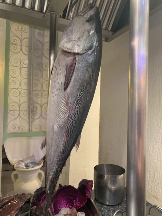 Gastro Calimera Yati Beach